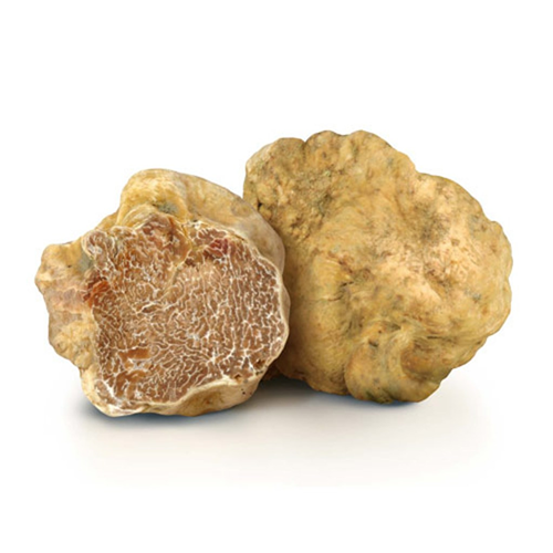 Bando per il sostegno delle attività di salvaguardia e potenziamento delle tartufaie naturali di tartufo bianco pregiato.